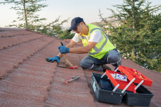 Best Roof Repair Services  in Wallenuck Lake Estates, PA