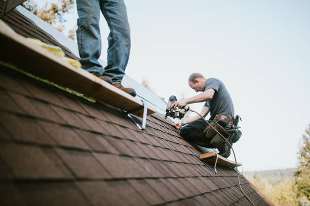 Best Gutter Installation and Roofing  in Wallenuck Lake Estates, PA